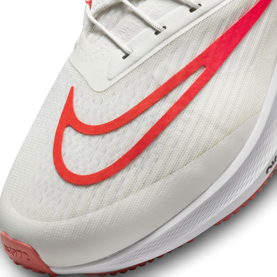 Nike Pegasus Flyease Herren