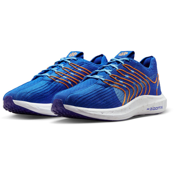 Nike Pegasus Turbo Next Nature Herren
