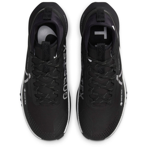 Nike Pegasus Trail 4 GTX Herren