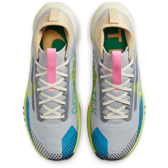Nike Pegasus Trail 4 GTX Herren