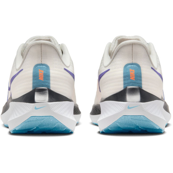 Nike Pegasus 39 Women