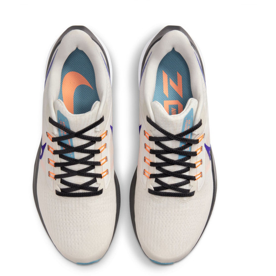 Nike Pegasus 39 Women
