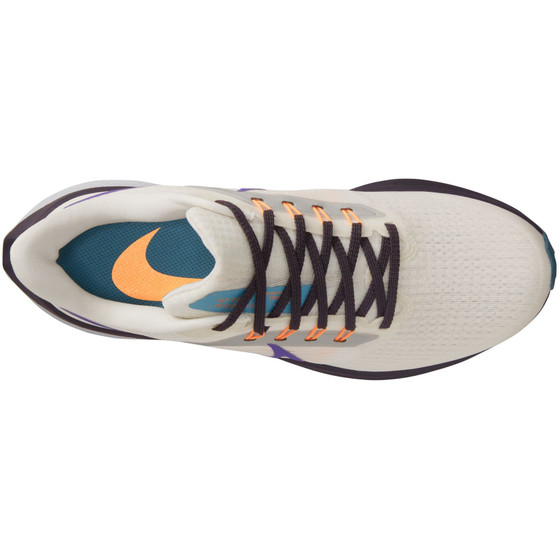 Nike Pegasus 39 Women