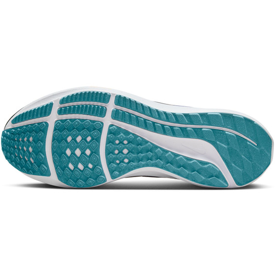 Nike Pegasus 39 Women