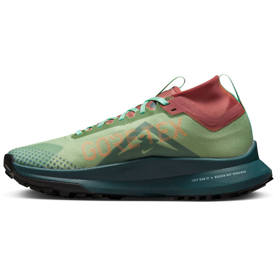 Nike Pegasus Trail 4 GTX Damen