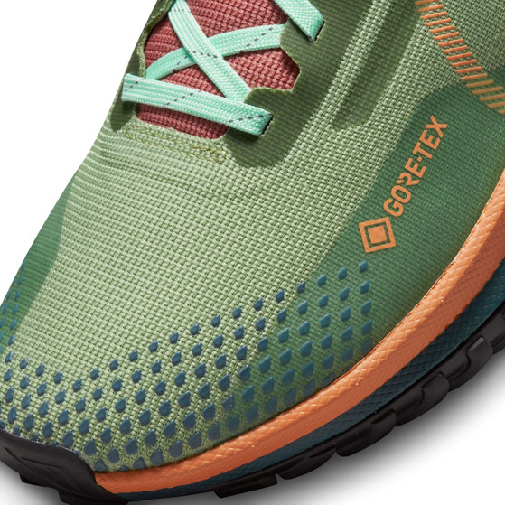 Nike Pegasus Trail 4 GTX Damen