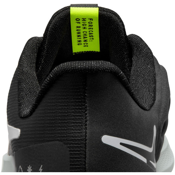 Nike Pegasus 39 Shield Men