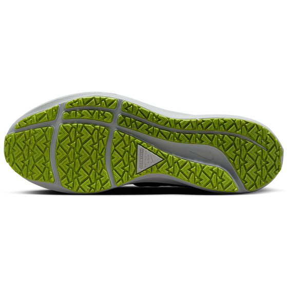 Nike Pegasus 39 Shield Men