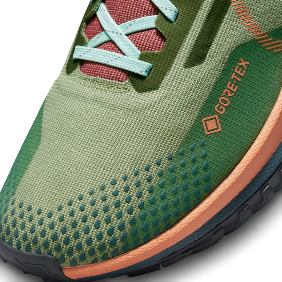 Nike Pegasus Trail 4 GTX Men