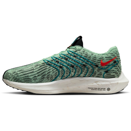 Nike Pegasus Turbo Next Nature Herren