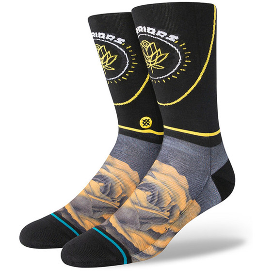 Stance City Edition Golden State Warriors