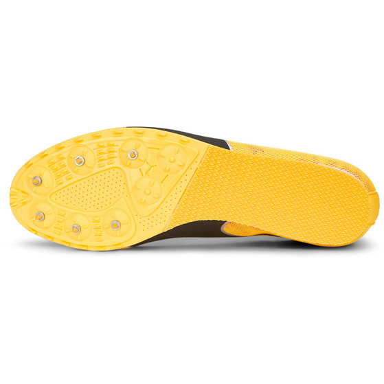 PUMA evoSPEED Star 8