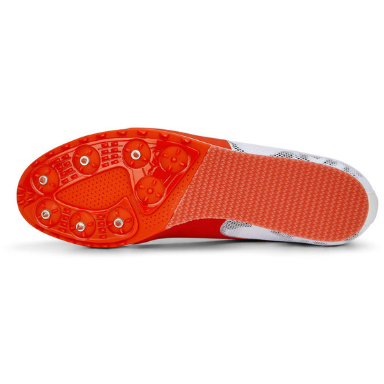 PUMA evoSPEED Star 8
