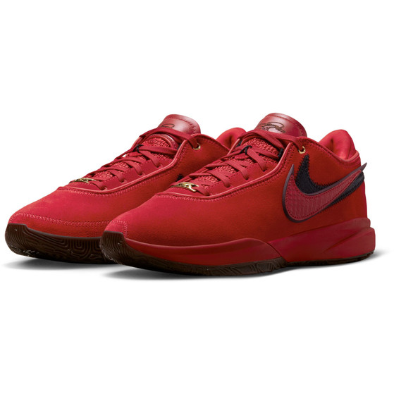 Nike LeBron XX
