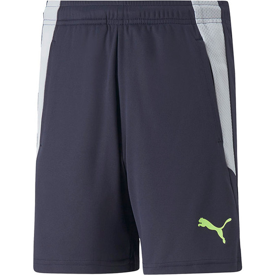 Puma LIGA Training Short
