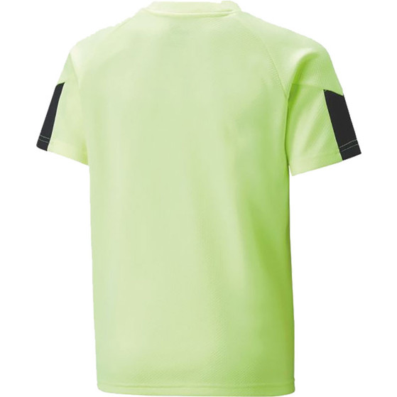 Puma FINAL Training Shirt