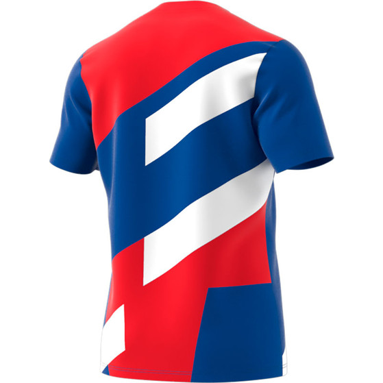 adidas Bayern München Pre-Match Shirt 2022/2023