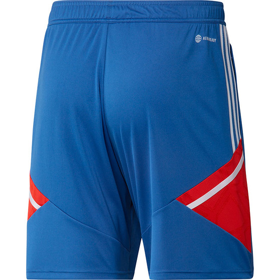 adidas Bayern München Trainingsset
