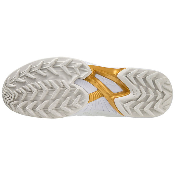 Mizuno Wave Panthera