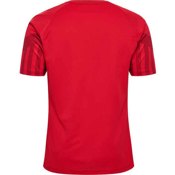 Hummel Denemarken Thuis Tenue Kids