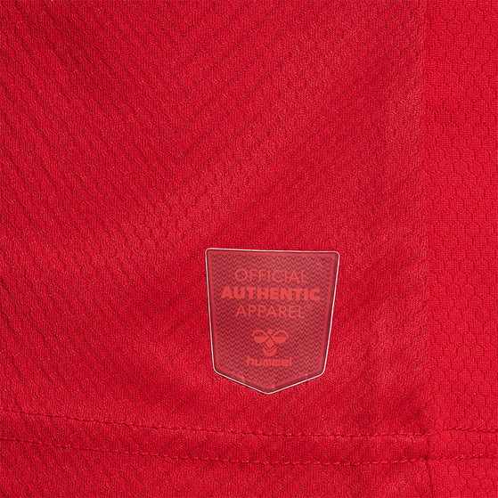 Hummel Denemarken Thuis Tenue Kids