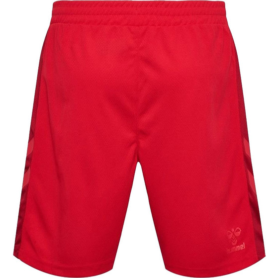 Hummel Denemarken Thuis Tenue Kids