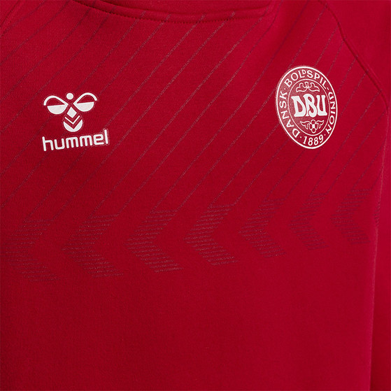 Hummel Denemarken Fan Hoody Kids