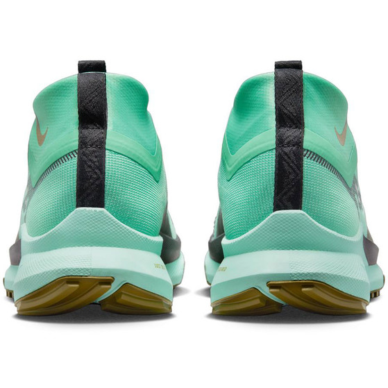 Nike Pegasus Trail 4 GTX Herren