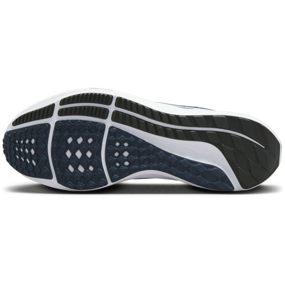 Nike Pegasus 40 Herren