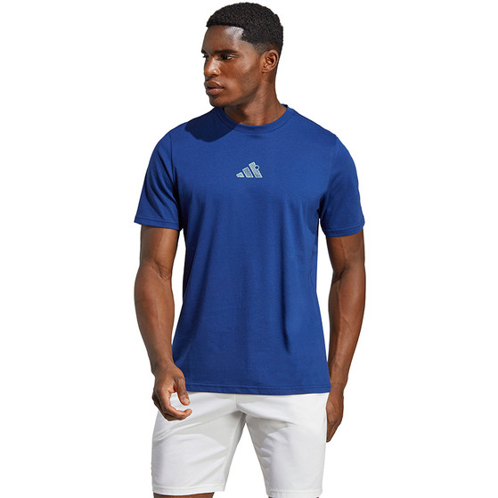 adidas Graphic Training Tee