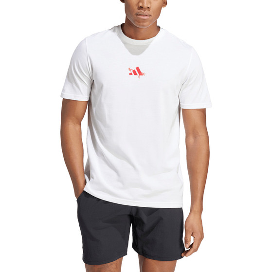 adidas Graphic Training Tee