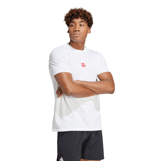 adidas Graphic Training Tee