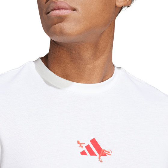adidas Graphic Training Tee