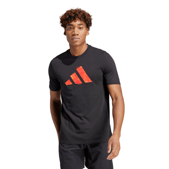 adidas Graphic Training Tee