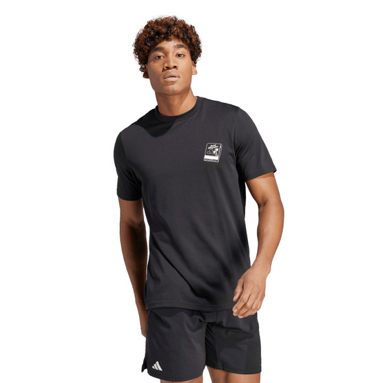 adidas Graphic Training Tee