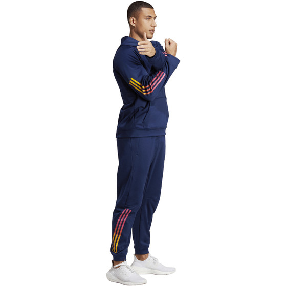 adidas Train Icons Hoody