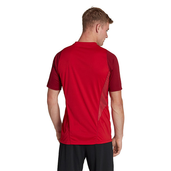adidas Tiro 23 Competition Träningsset
