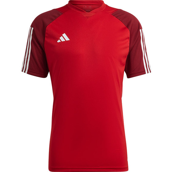 adidas Tiro 23 Competition Träningsset

