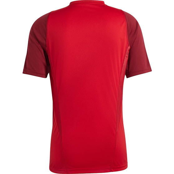 adidas Tiro 23 Competition Träningsset
