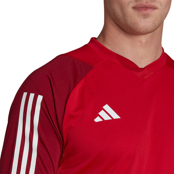 adidas Tiro 23 Competition Träningsset

