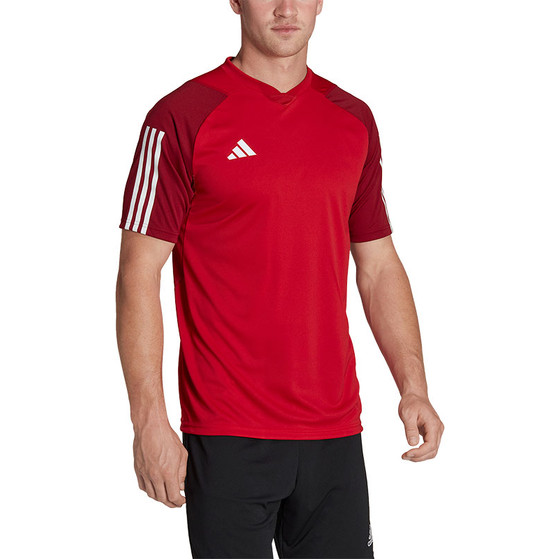 adidas Tiro 23 Competition Träningsset
