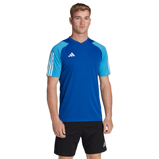 adidas Tiro 23 Competition Träningströja