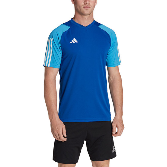 adidas Tiro 23 Competition Träningströja