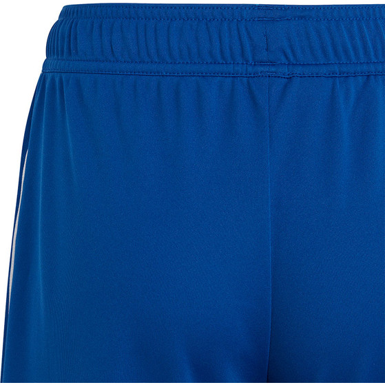 adidas Tiro 23 Pro Keeperstenue Kids
