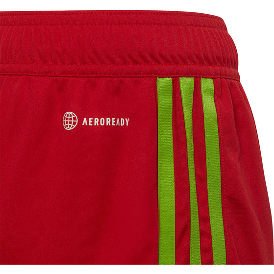 adidas Tiro 23 Training Short Kids