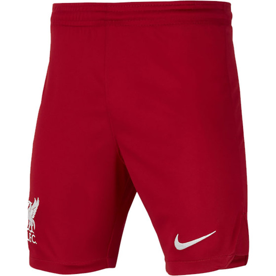 Nike Liverpool Thuis Tenue Kids