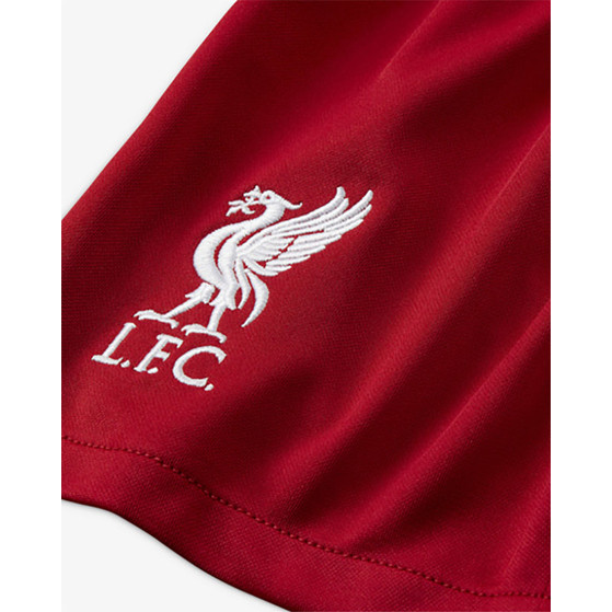 Nike Liverpool Thuis Tenue Kids