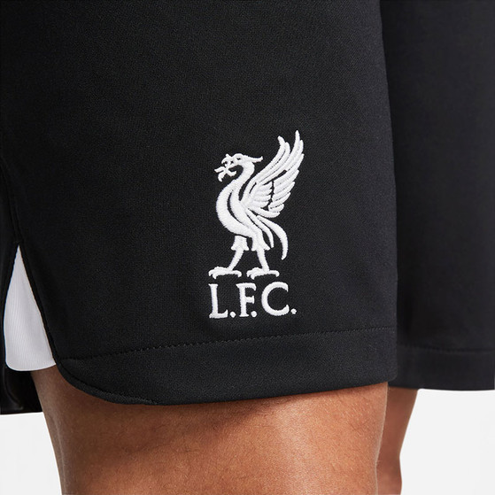 Nike Liverpool Borta Fotboll kit 
