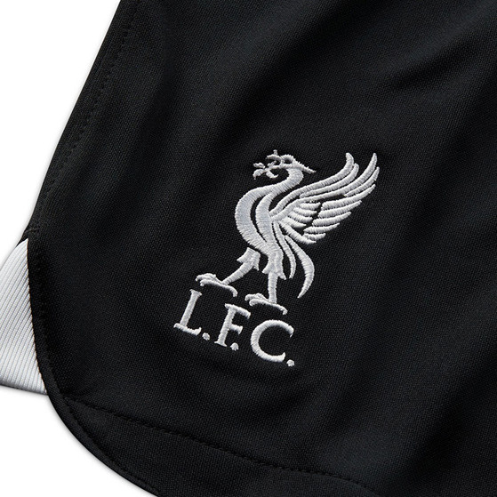 Nike Liverpool Uit Tenue Kids
