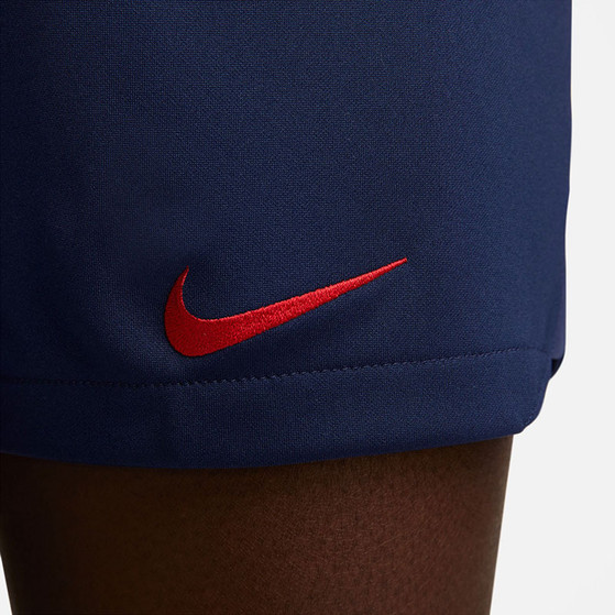 Nike Paris Saint-Germain Hemmaställ Dam
